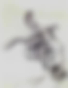 Etude de main, pour le dessin "scene hysterique" (preview)