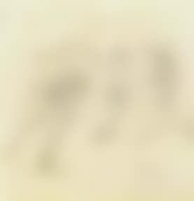 Personnages (preview)