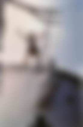 Hommage au rhinoceros (preview)