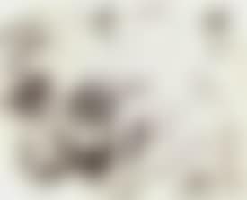 Me encuentro exatame (preview)