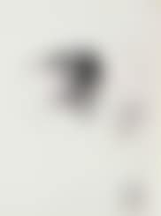 Galacidalacidesoxyribonucleicacid (preview)