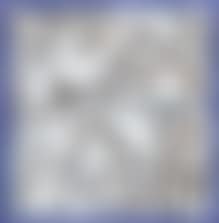 Composition aux oiseaux (preview)