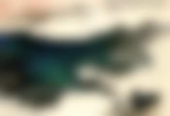 Lake Tai (preview)