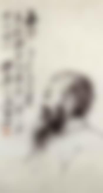 Self portrait (preview)