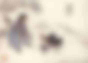 Country scenes (preview)