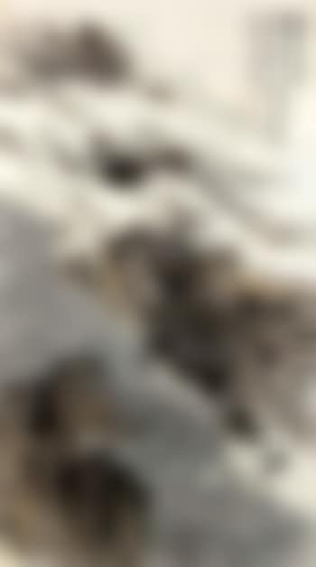 Landscape with calligraphy (preview)