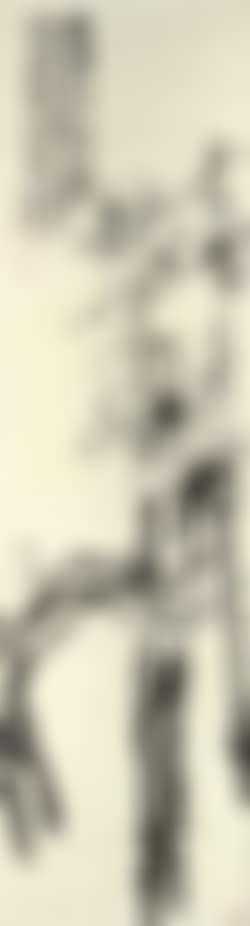 Magnolia (preview)