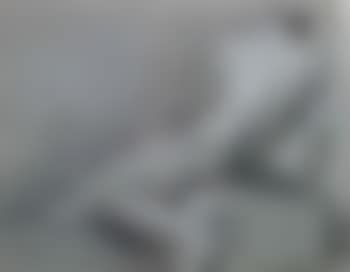 Seated nude, seen from behind (preview)