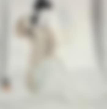 Ladies (preview)