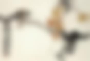 Maple leave and bird (preview)