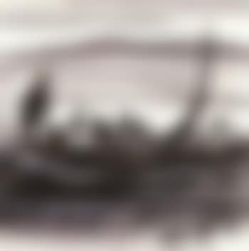 Fisherman (preview)