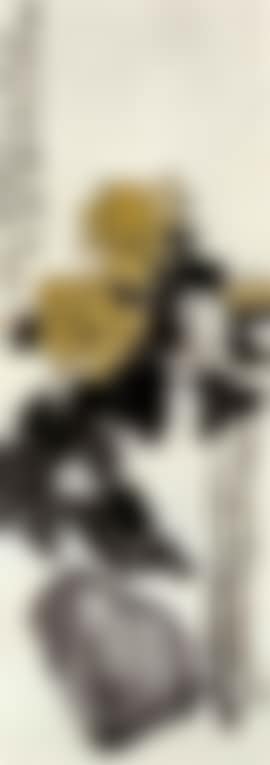 Hibiscus (preview)