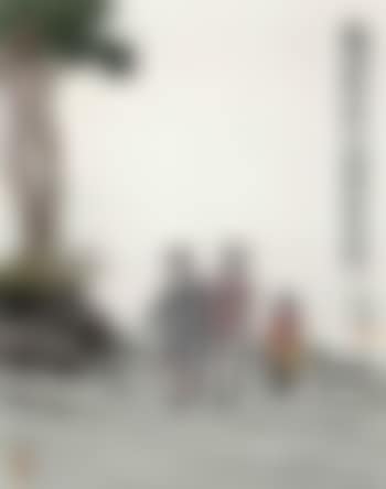 Returning home with flowers (preview)