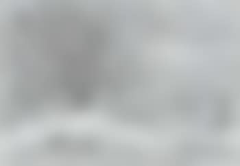Landscape (preview)