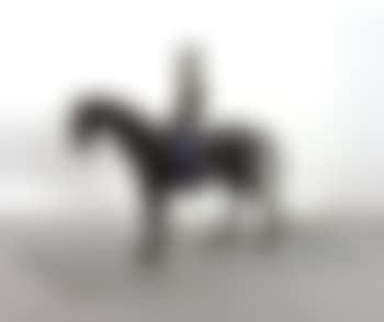 Little rider (preview)