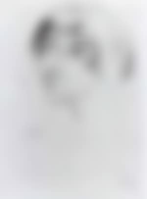 Woman's head (preview)