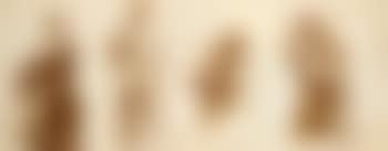Four studies after classical sculptures (preview)