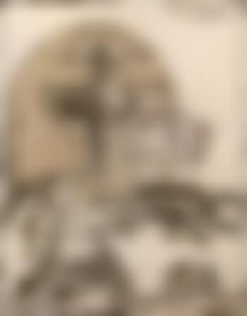 Insetti (preview)