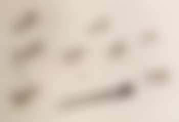 Untitled (preview)