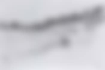 Landscape (preview)