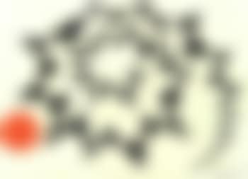 Spirale noire et soleil rouge (preview)