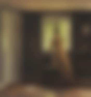Interior scene with girl looking out of window (preview)