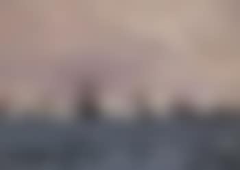 Danish fleet celebrating the Queen's birthday (preview)