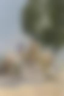 Travellers on a dusty road (preview)