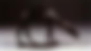 Dromadaire (preview)