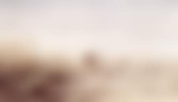 Vue de Camargue (preview)