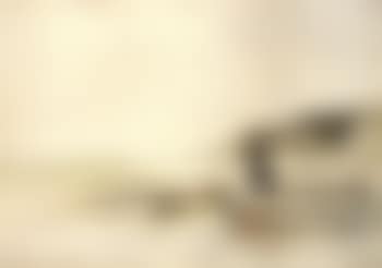 Elegante sur la plage (preview)