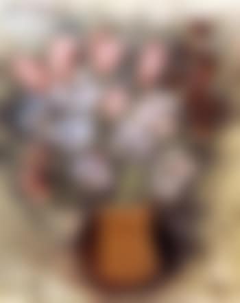Fleurs (preview)