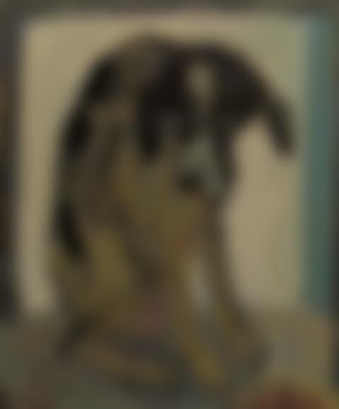 Dog (preview)