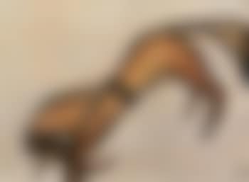 Kneeling horse (preview)