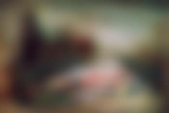Nature morte aux poissons (preview)