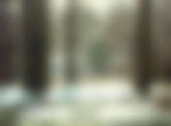 Morning on the stream (preview)
