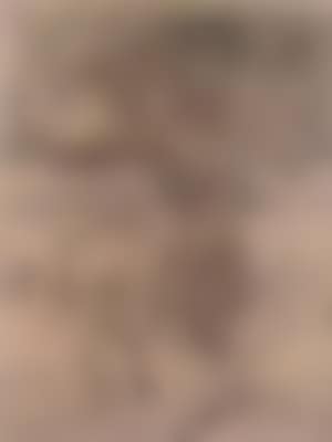 Expressionist, woman with bird on her arm in a field horses (preview)