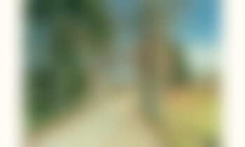 Allee d'arbres en automne (preview)
