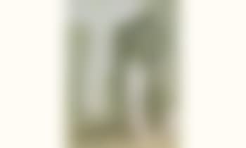 Composition blanche et verte (preview)