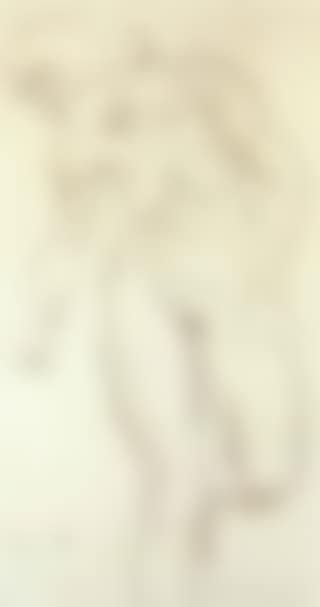Femme nue (preview)