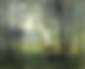 Vaches en sous bois (preview)