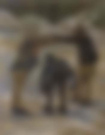 Hiver (preview)