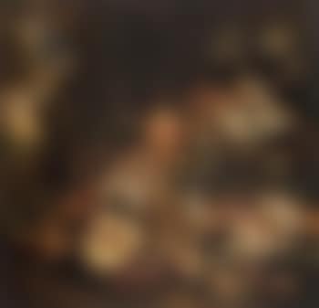 Nature morte (preview)