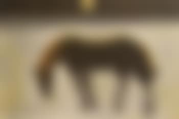 Horse in moonlight (preview)