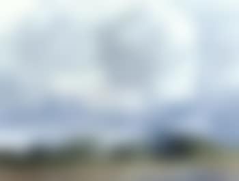 Landscape (preview)