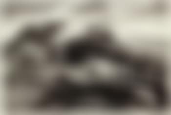 New England farm (preview)