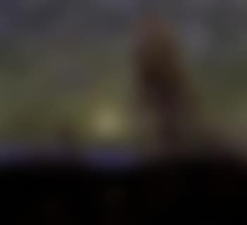 Welcome light along the trail (preview)