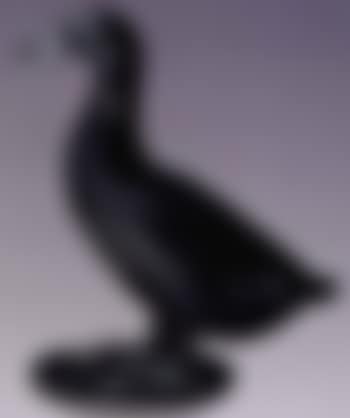 Canard (preview)