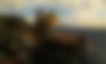 Gathering bracken (preview)