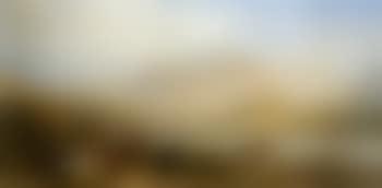 Cattle resting at Loch Lomond. Loch Rannoch, Perthshire (preview)